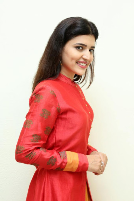 Actress Chitra Shukla Beautiful Photo Shoot In Red Dress 4